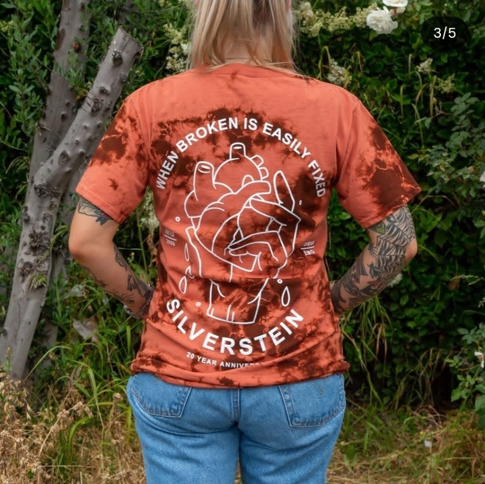 When Broken is Easily Fixed Silverstein Small